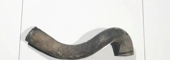Iveco Daily 30.8 - 9 Engine coolant pipe/hose
