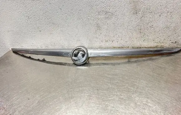 Opel Insignia A Tailgate trim 13244389 13244388