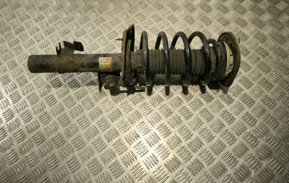 Front shock absorber with coil spring