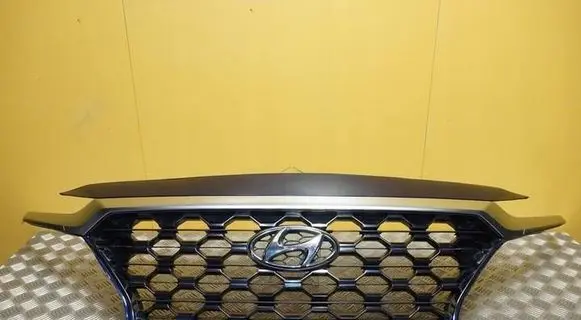 Hyundai Santa Fe Front grill 86366-S2100 2701
