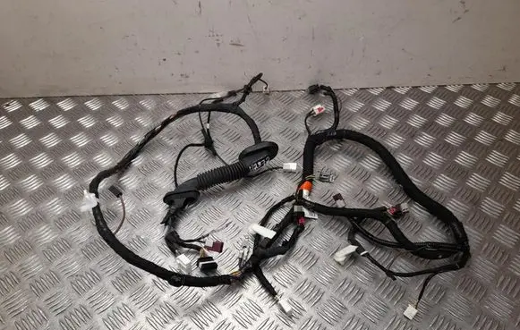 Other wiring loom