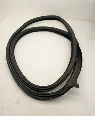 BMW M6 Rear door rubber seal (on body) 7275316