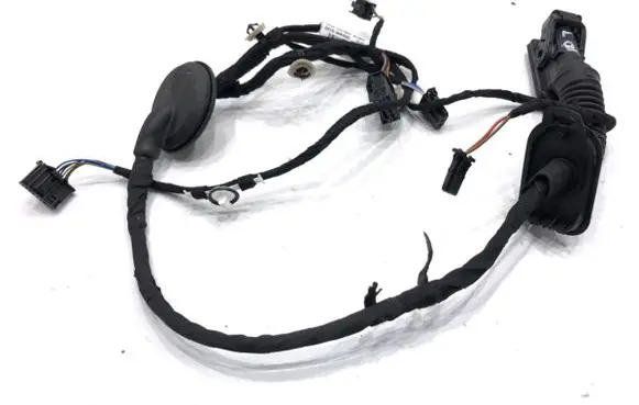 Cupra Formentor Rear door wiring loom 