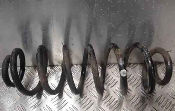 Volkswagen PASSAT B6 Rear coil spring