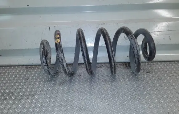 Audi A6 S6 C6 4F Rear coil spring
