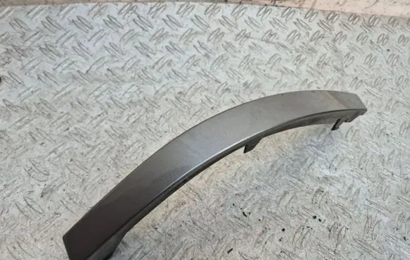Rear/tail light trim molding