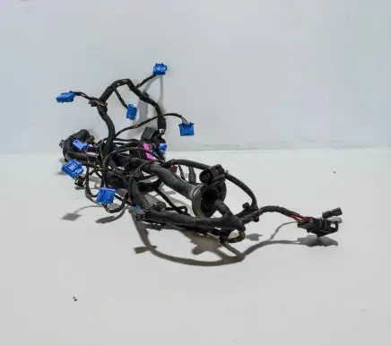 Audi A8 S8 D3 4E Other wiring loom 2464700129