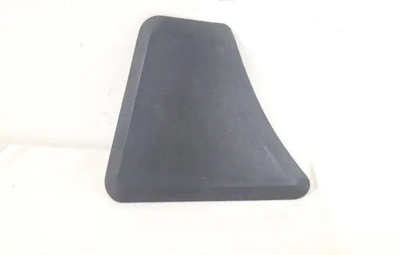 Rear/tail light trim molding