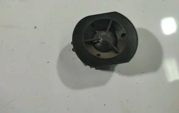 Renault Espace - Grand espace IV Front door speaker 820001434C