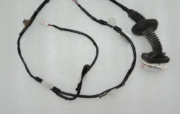 Rear door wiring loom