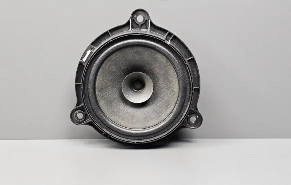 Dacia Sandero II Front door speaker 577449 281563SG0A