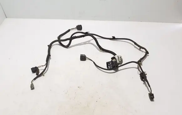 Other wiring loom