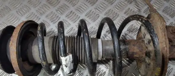 Front coil spring