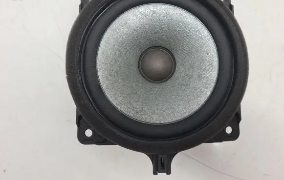 Front door speaker