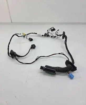 Front door wiring loom