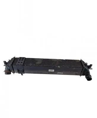 Renault Laguna III Intercooler radiator M4925003