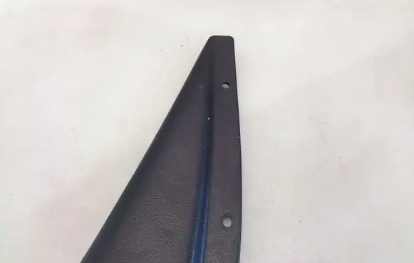 Other rear door trim element