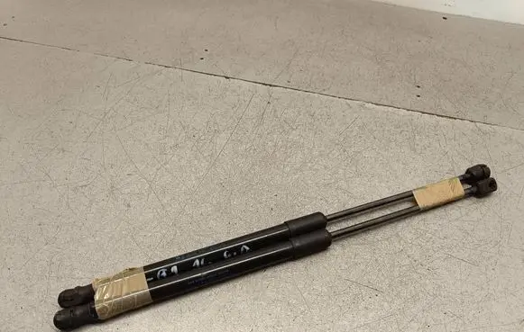 Tailgate/trunk strut/damper