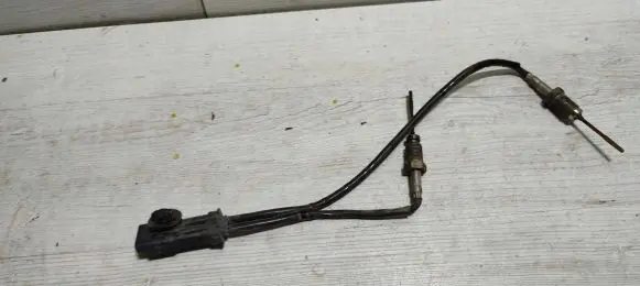 Citroen C4 Cactus Exhaust gas temperature sensor