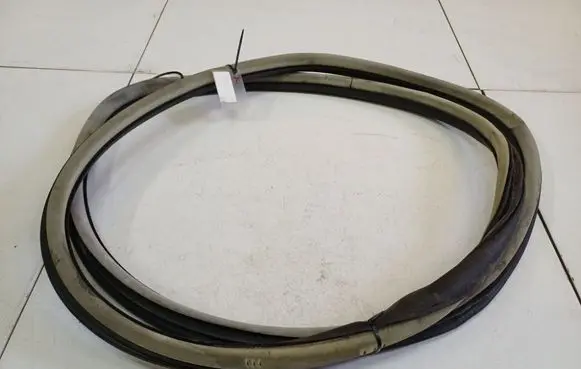Citroen C5 Rubber seal rear door 