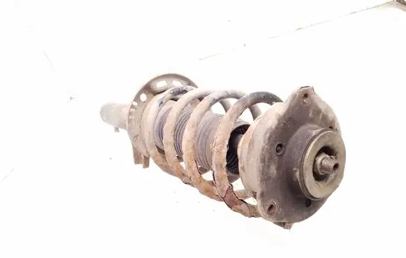 Front shock absorber with coil spring