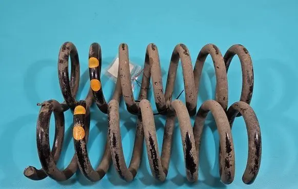 Rear coil spring