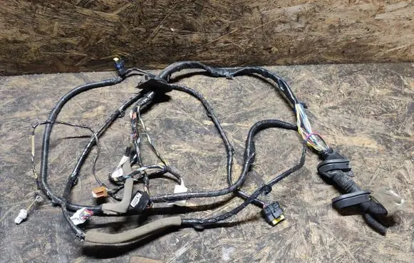 Renault Koleos I Front door wiring loom 241249925R
