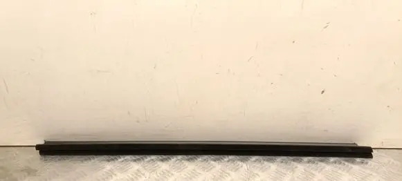 Volvo XC40 Front door glass trim molding 31864622