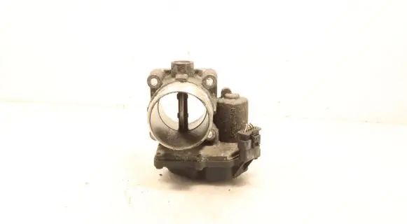 Throttle body valve