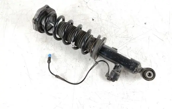 BMW X3 G01 Rear shock absorber with coil spring 6887148