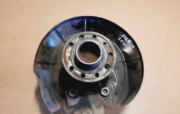 Opel Signum Rear wheel hub spindle/knuckle 