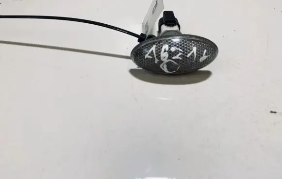 Peugeot 307 Front fender indicator light