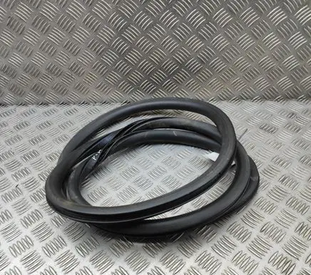 Volvo V40 Cross country Rubber seal front coupe door 31457615