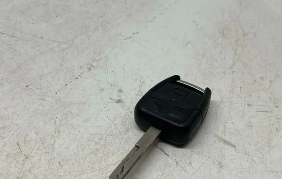 Opel Signum Ignition key/card