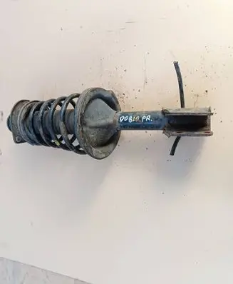 Fiat Doblo Front shock absorber with coil spring 46812368 GP32428