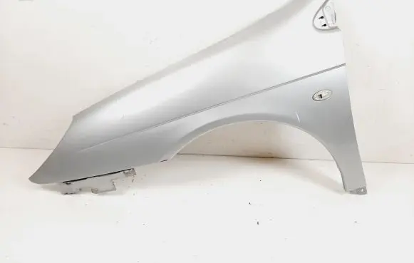 Citroen C5 Fender