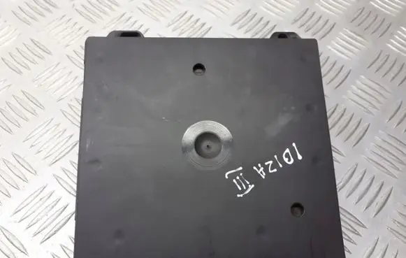 Seat Ibiza III (6L) Voice control module 6Q2937049F