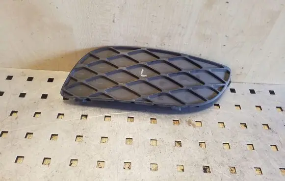 Front bumper lower grill