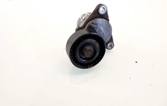 Hyundai Santa Fe Generator/alternator belt tensioner 2528127