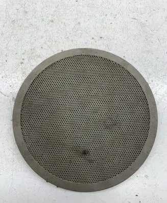 Renault Scenic II - Grand scenic II Front door speaker cover trim 186001310 219860