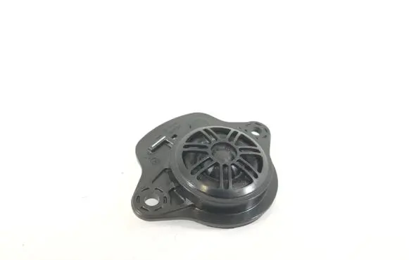 Front door high frequency speaker