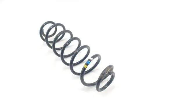 Rear coil spring