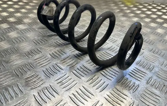 Rear coil spring