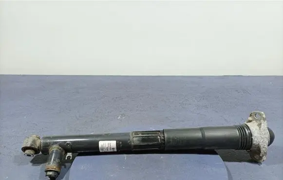 Rear shock absorber/damper