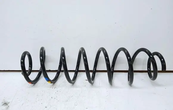 Rear coil spring