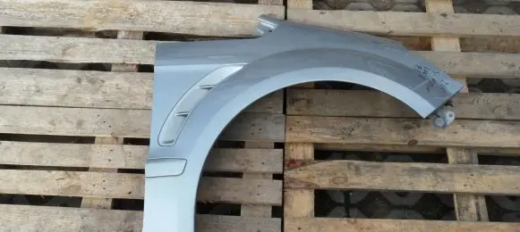 Ford S-MAX Fender