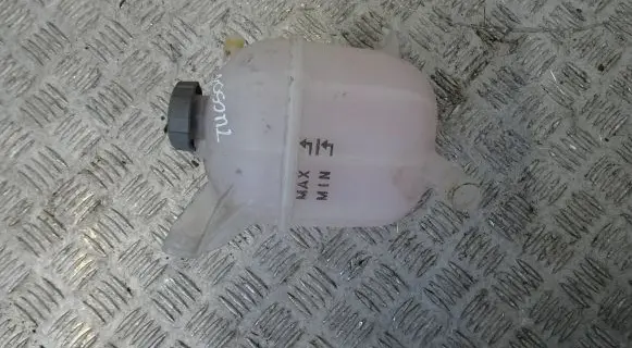 Hyundai Tucson IV NX4 Coolant expansion tank/reservoir 25430-P0000