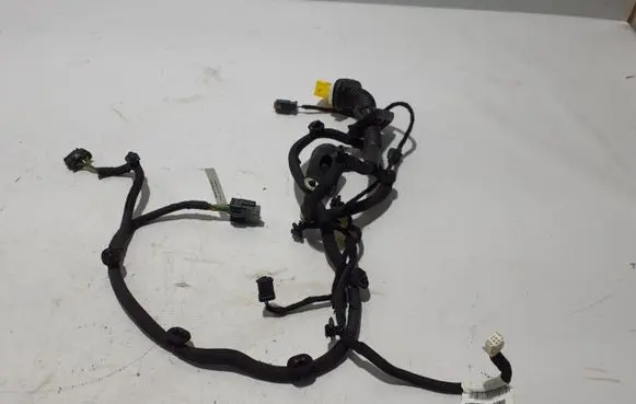 Citroen C4 III e-C4 Other wiring loom 9840756380