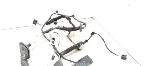 Front door wiring loom