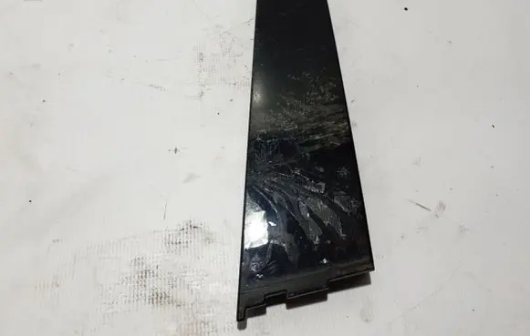 Renault Arkana Rear door trim (molding) 822830193R
